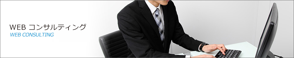 WEBコンサルティング